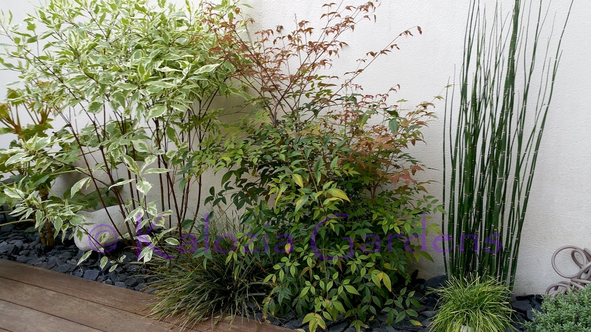 Coin terrasse — Photo de couverture